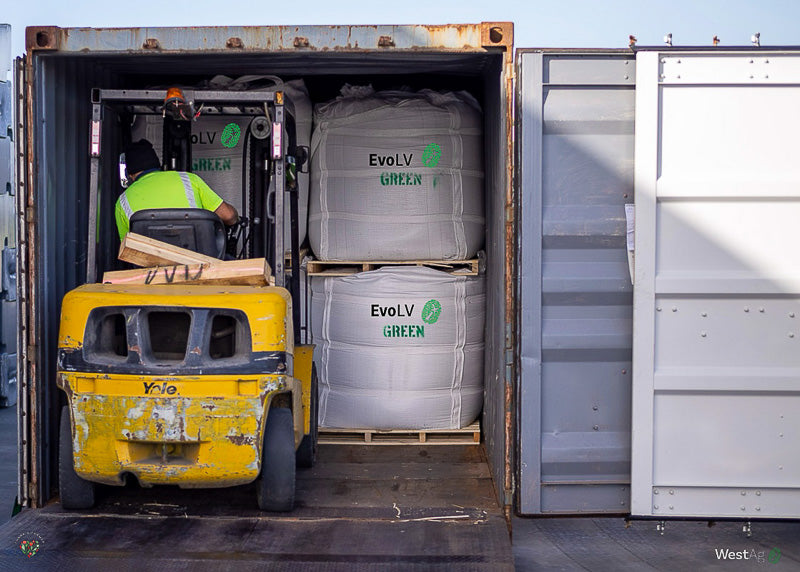 Evolv Green & Evolv Blue